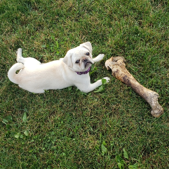 Meet your Posher, Jade - Picture 2 of 2